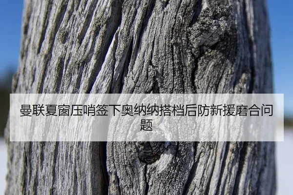 man-lian-xia-chuang-ya-shao-qian-xia-ao-na-na-da-dang-hou-fang-xin-yuan-mo-he-wen-ti-3-397.jpg