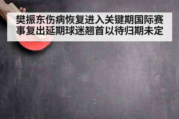 樊振东伤病恢复进入关键期国际赛事复出延期球迷翘首以待归期未定