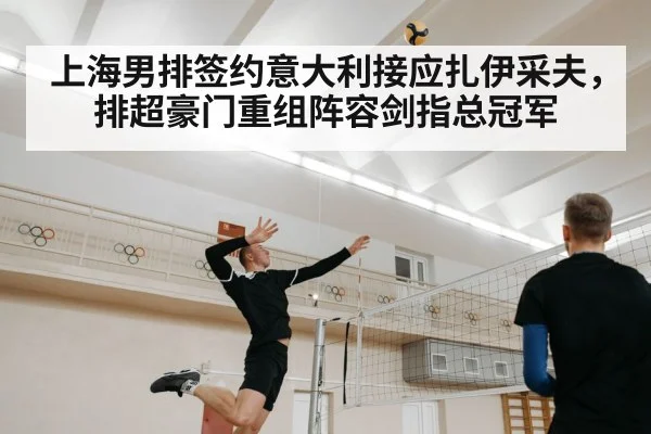 上海男排签约意大利接应扎伊采夫，排超豪门重组阵容剑指总冠军